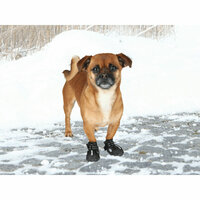 Hondenschoenen Trixie Zwart XS 3