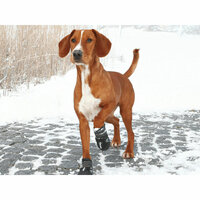 Hondenschoenen Trixie 19463 Zwart M 3