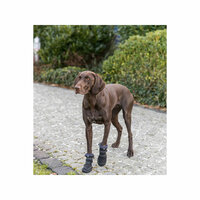 Hondenschoenen Trixie Zwart S/M 7