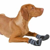 Hondenschoenen voor honden Kerbl Zwart Grijs M 3