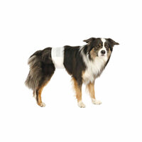 Hondenluiers Trixie 23643 3