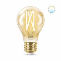 Gloeilamp Wiz Multicolour Gouden F 7 W 50 W E27 3