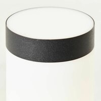 LED bollard light Brilliant Dody Bewegingssensor Metaal Zwart 10 W 4