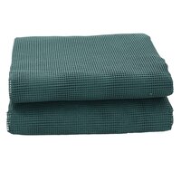 Tenttapijt 4x2,5 m groen 3