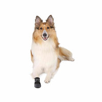 Hondenschoenen Trixie Walker Care Zwart XL 3