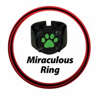 Miraculous: Tales of Ladybug &amp; Cat Noir Transformation Set - Cat Noir 4 Onderdelen Zwart Multicolour Kinder verkleedkleding 6