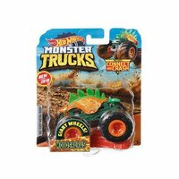 Auto Monster Trucks Hot Wheels FYJ44 1:64 Multicolour 4