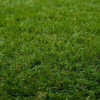 Kunstgras PP &amp; PE 9