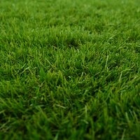Kunstgras Groen 1 x 8 m / 50 mm PP &amp; PE 9