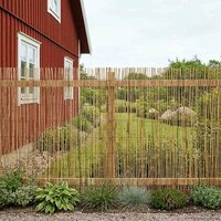 Tuinhek Gecarboniseerd riet 500 x 100 cm 3