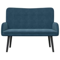 Twee Persoons Sofa Blauw 115 x 61 x 87 cm Fluweel 4