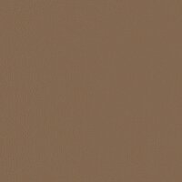 Vloerstoel Cappuccino 55 x 61 x 70 cm Nep Leer 10