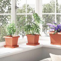 Plantenpotten 24 pcs Baksteenrood 16 x 16 x 14 cm Kunststof 4