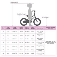 Kinderfiets 12 Inch voor 2-4 jaar oud Zwart 9