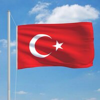 Vlag Turkije 90x150 cm 3