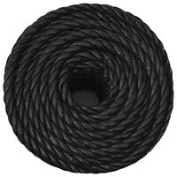 Werktouw 10 mm 50 m polypropeen zwart 3