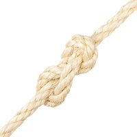 Touw 10 mm 25 m 100% sisal 3