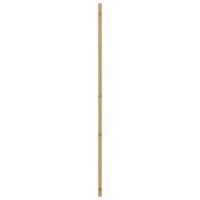Binnendeur Naturel 61 x 198,5 cm Multiplex 5