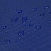 Dekzeil 650 g/m&sup2; 1x2,5 m blauw 6