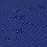 Dekzeil 650 g/m&sup2; 1,5x2 m blauw 6