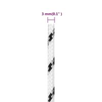 Boottouw gevlochten 3 mm x 250 m polyester wit 5