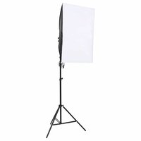 Fotostudioverlichtingsset 2
