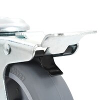 Zwenkwielen met boutgaten en dubbele remmen 4 st 100 mm 5