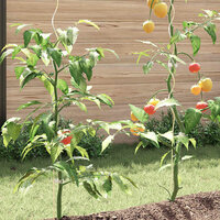 Plantenstok spiraal 170 cm gegalvaniseerd staal 50 st 4