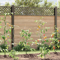 Plantenstok spiraal 110 cm gegalvaniseerd staal 50 st 3