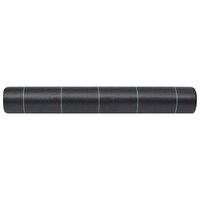 Worteldoek 2x10 m PP zwart 4