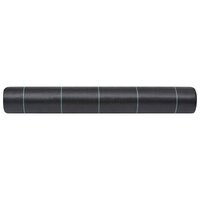 Worteldoek 2x50 m PP zwart 4