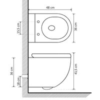 Hangend toilet randloos keramiek zwart 10