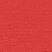 Partytent 200 x 200 x 240 cm Rood PE en staal 8