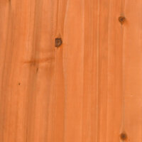 Tuinschuur Bruin 59,5 x 56 x 113,5 cm Bewerkt hout 10