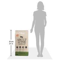 Premium hondenvoer droog Adult Active Chicken &amp; Fish 30kg 2 st 10