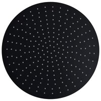 Regendouchekop rond 40 cm roestvrij staal zwart 2
