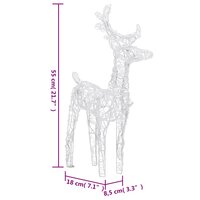 Kerstversiering rendieren en slee 160 LED&amp;apos;s 130 cm acryl 7