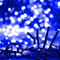 Lichtslinger cluster met 1000 LED&amp;apos;s blauw PVC 4