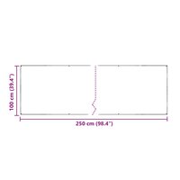 Zeildoek Doorzichtig 2,5 x 1 m PE 10