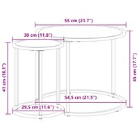 Salontafelset2 pcs 55 x 55 x 45 cm staal 12