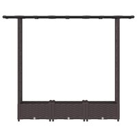 Verhoogde tuinbak met Trellis en Dak Bruin 164 x 40 x 121 cm PP 4