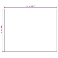 Spiegel frameloos 100x60 cm glas 7
