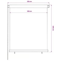 Rolgordijn voor buiten 125(B)x140(H) cm zwart 6