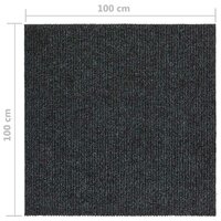 Droogloopmat 100x100 cm antracietkleurig 6