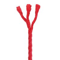 Touw 2 pcs Rood Katoen 4