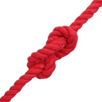 Touw Rood 1 x 1 x 2500 cm Katoen 3