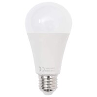 Fotostudioset met verlichtingsset en achtergrond 8