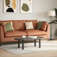 Salontafelpoten 4 st 30-32 cm staal antraciet 3