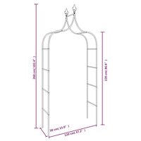 Tuinbogen 2 st 120x38x260 cm staal zwart 7