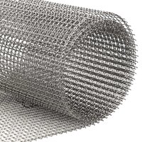 Gaas Scherm 20 x 200 cm 3 Mesh RVS 201 Zilverkleurig 3